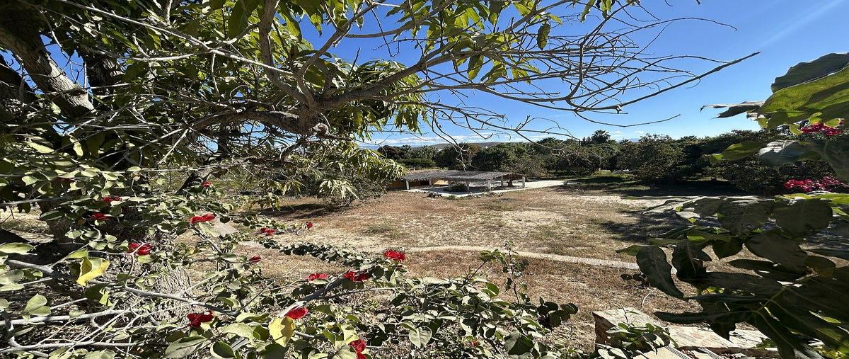 Foto de rancho en , la cahchora, la paz, baja california sur, 0 foto 03 Foto de rancho en venta en , la cahchora, la paz, baja california sur, 0 No. 03