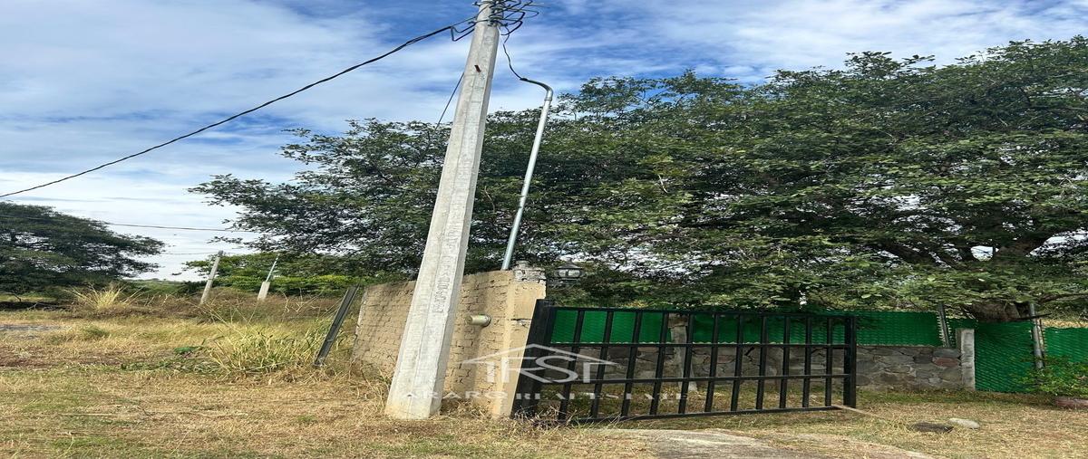 Foto de terreno habitacional en venta en  , la caja, comala, colima, 0 No. 03