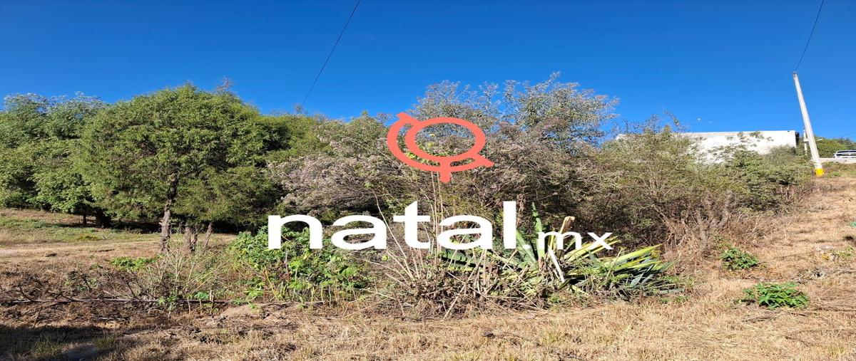 Foto de terreno habitacional en venta en  , la calera, puebla, puebla, 29282959 No. 03
