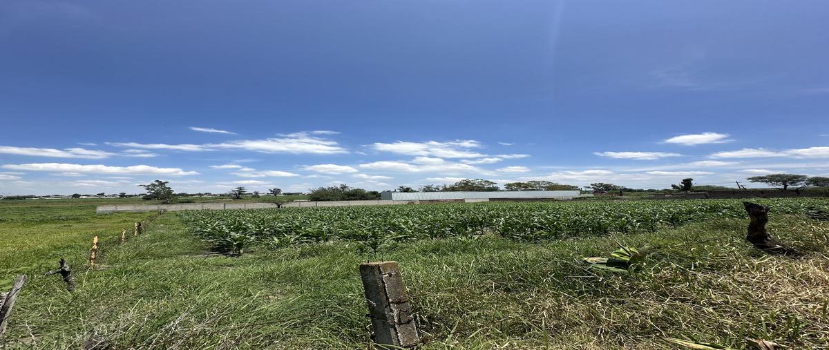 Foto de terreno habitacional en venta en  , la calera, tlajomulco de zúñiga, jalisco, 0 No. 03