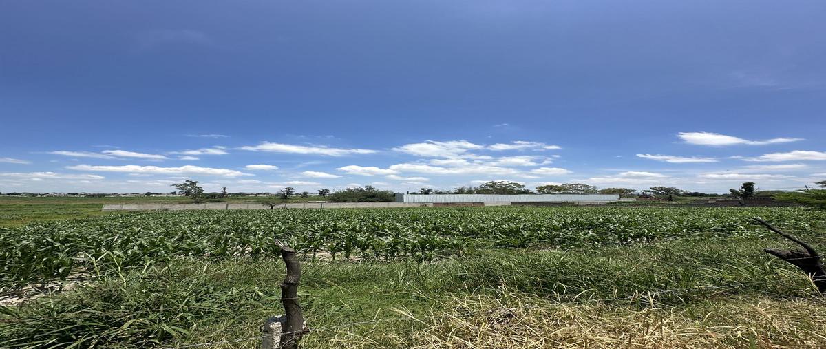 Foto de terreno habitacional en venta en  , la calera, tlajomulco de zúñiga, jalisco, 0 No. 04