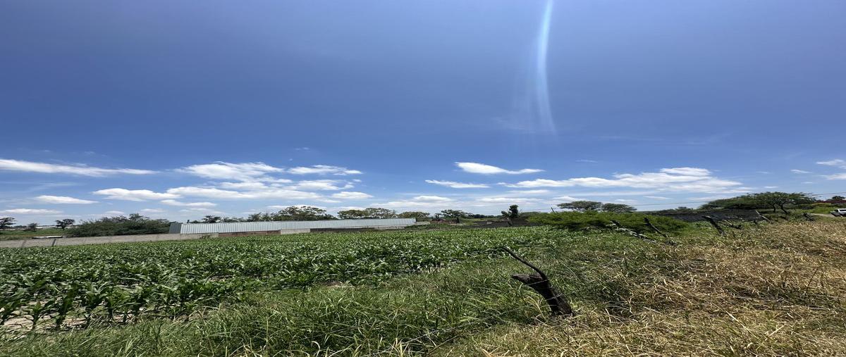 Foto de terreno habitacional en venta en  , la calera, tlajomulco de zúñiga, jalisco, 0 No. 05
