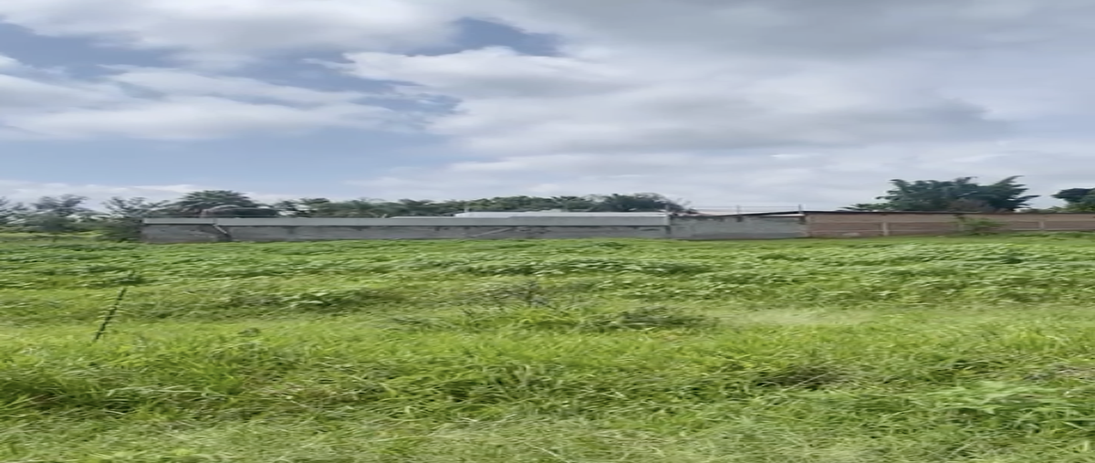 Foto de terreno comercial en venta en  , la calera, tlajomulco de zúñiga, jalisco, 0 No. 04