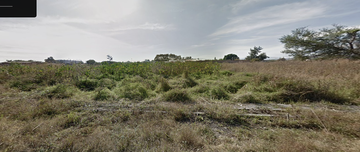 Foto de terreno comercial en venta en  , la calera, tlajomulco de zúñiga, jalisco, 0 No. 05