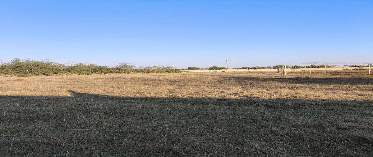 Foto de terreno habitacional en venta en  , la calerilla, san pedro tlaquepaque, jalisco, 0 No. 04
