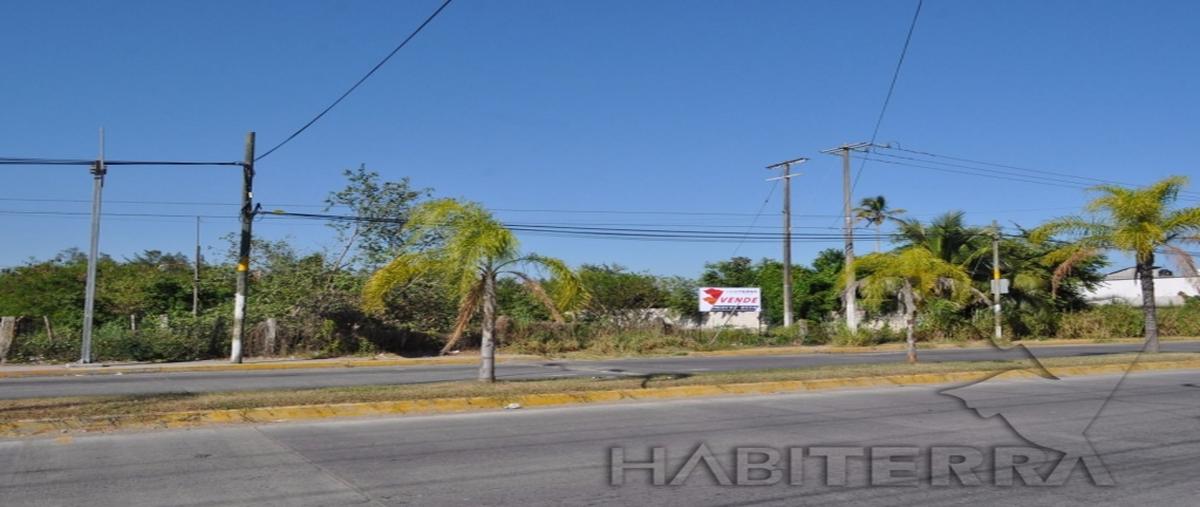 Foto de terreno comercial en venta en  , la calzada, tuxpan, veracruz de ignacio de la llave, 20549410 No. 03