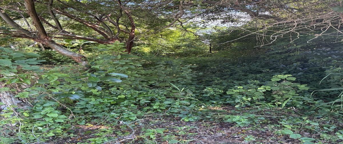 Foto de terreno habitacional en venta en  , la calzada, tuxpan, veracruz de ignacio de la llave, 0 No. 03