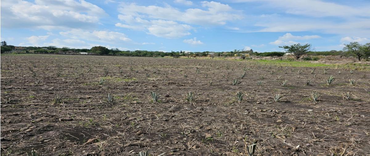 Foto de terreno habitacional en venta en  , la calzonuda, sahuayo, michoacán de ocampo, 26982808 No. 04