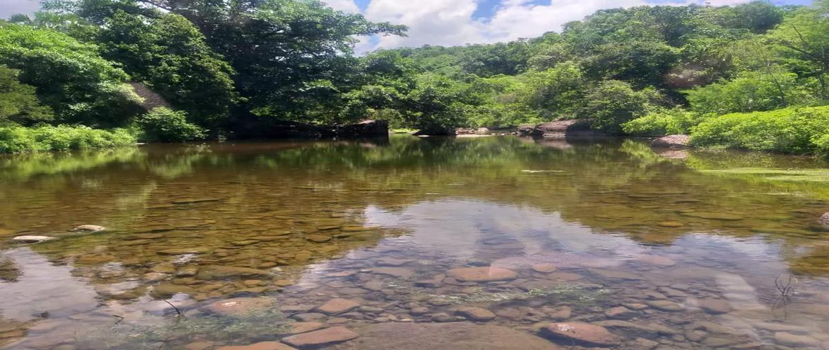 Foto de terreno habitacional en venta en  , la campana, escuinapa, sinaloa, 24778244 No. 03