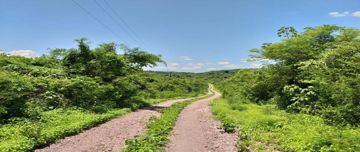Foto de terreno habitacional en venta en  , la campana, escuinapa, sinaloa, 24778244 No. 04