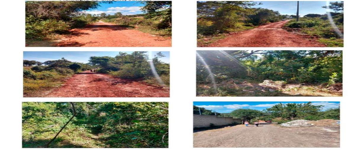 Foto de terreno habitacional en la campanilla lote 17, san nicolás de ibarra, chapala, jalisco, 28822698 foto 02 Foto de terreno habitacional en venta en la campanilla lote 17, san nicolás de ibarra, chapala, jalisco, 28822698 No. 02