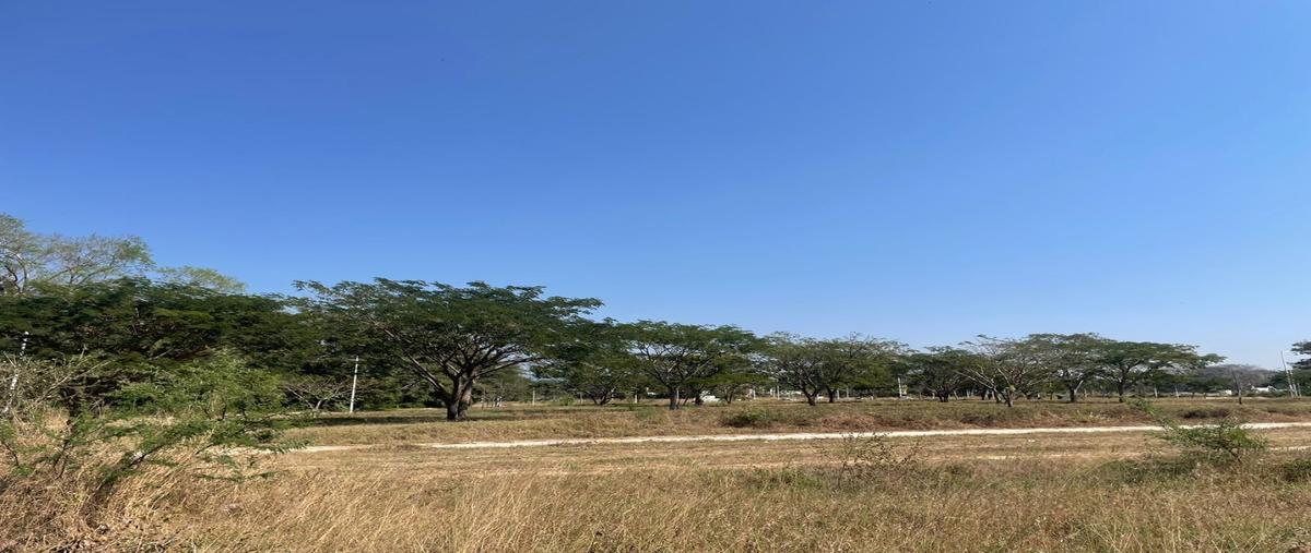 Foto de terreno habitacional en venta en  , la cañada, comala, colima, 0 No. 03