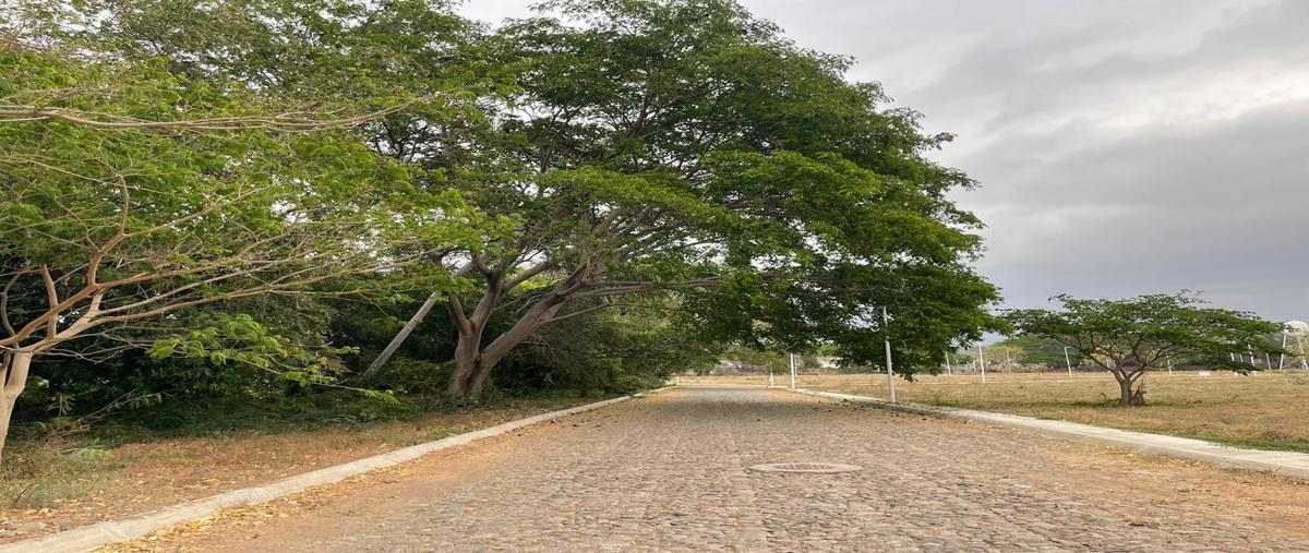 Foto de terreno habitacional en venta en  , la cañada, comala, colima, 0 No. 04