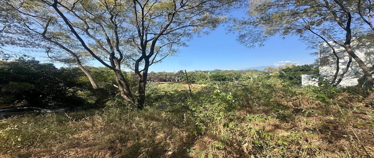 Foto de terreno habitacional en venta en  , la cañada, cuernavaca, morelos, 30932708 No. 04