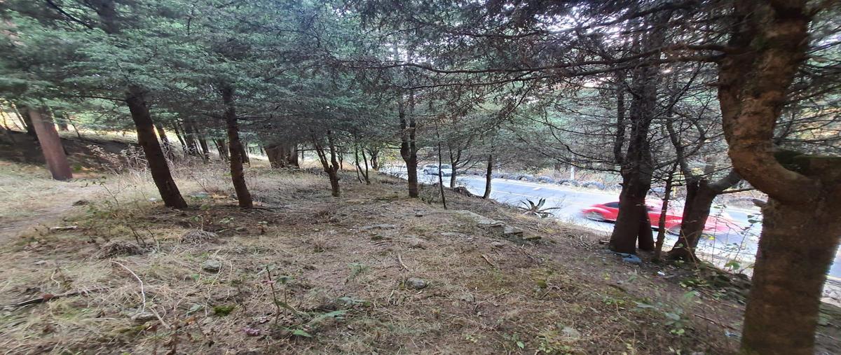 Foto de terreno habitacional en venta en  , la cañada, huixquilucan, méxico, 0 No. 03