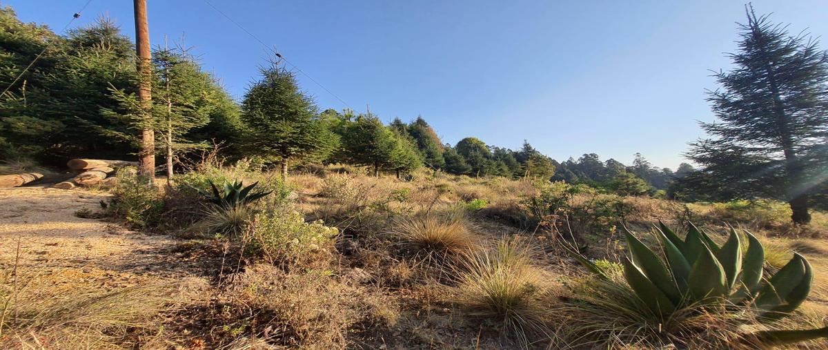 Foto de terreno habitacional en venta en  , la cañada, huixquilucan, méxico, 0 No. 04