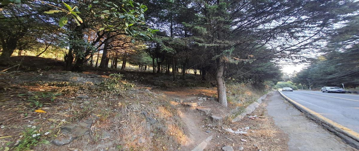 Foto de terreno habitacional en venta en  , la cañada, huixquilucan, méxico, 0 No. 05