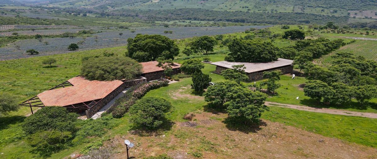 Foto de rancho en venta en la cañada , la cañada, ixtlahuacán de los membrillos, jalisco, 29767664 No. 02
