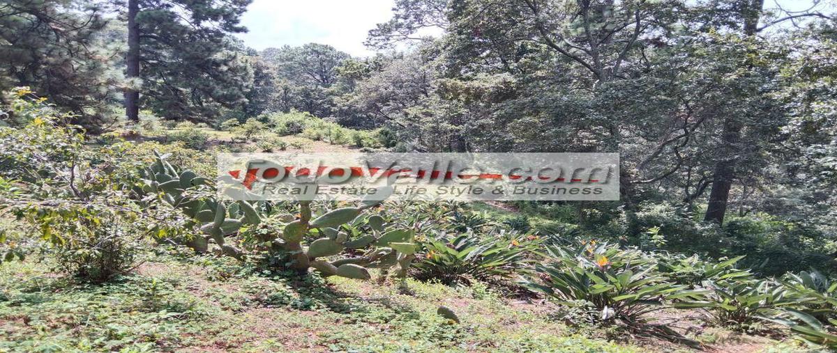 Foto de terreno habitacional en venta en la candelaria, valle de bravo, estado de méxico, 51200 , la peña, valle de bravo, méxico, 0 No. 03