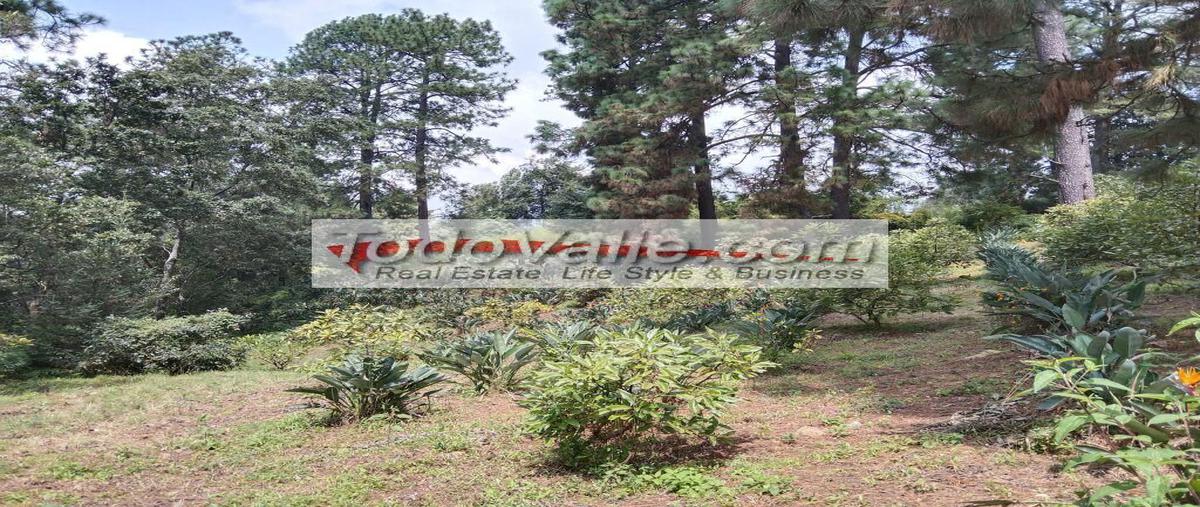 Foto de terreno habitacional en venta en la candelaria, valle de bravo, estado de méxico, 51200 , la peña, valle de bravo, méxico, 0 No. 04