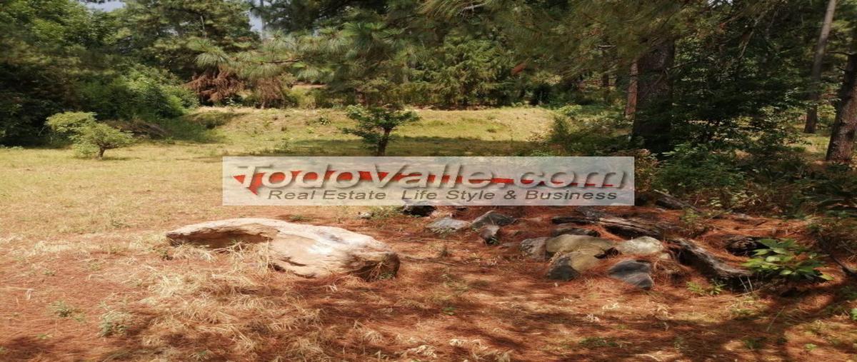Foto de terreno habitacional en venta en la candelaria, valle de bravo, estado de méxico, 51200 , la peña, valle de bravo, méxico, 0 No. 05