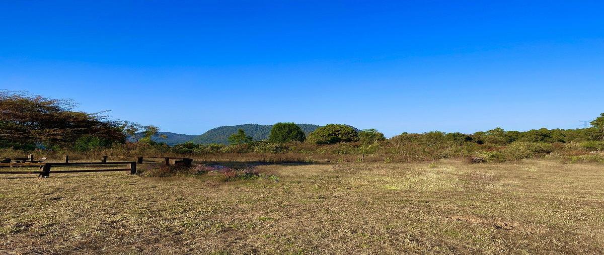Foto de terreno habitacional en , la candelaria, valle de bravo, méxico, 0 foto 04 Foto de terreno habitacional en venta en , la candelaria, valle de bravo, méxico, 0 No. 04