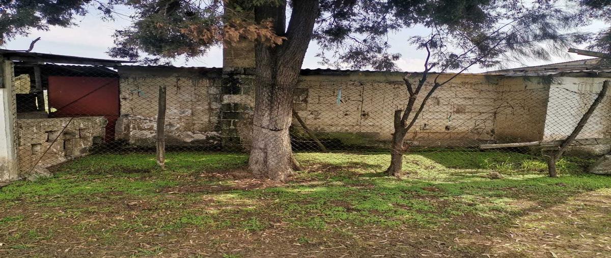 Foto de terreno habitacional en venta en  , la capilla, ayapango, méxico, 30001331 No. 03