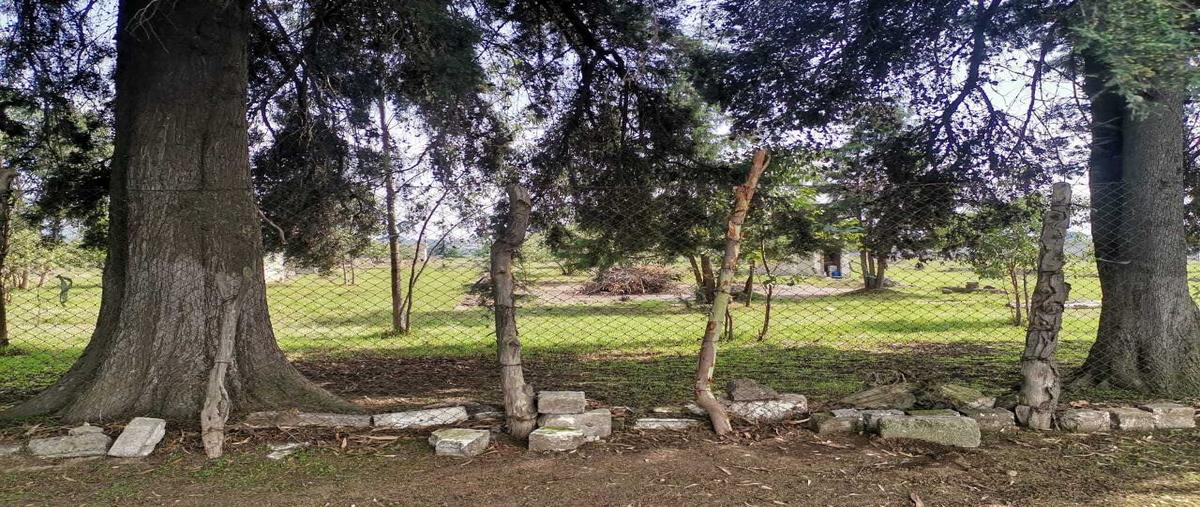 Foto de terreno habitacional en venta en  , la capilla, ayapango, méxico, 30001331 No. 04