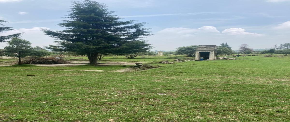 Foto de terreno habitacional en venta en  , la capilla, ayapango, méxico, 30001331 No. 05