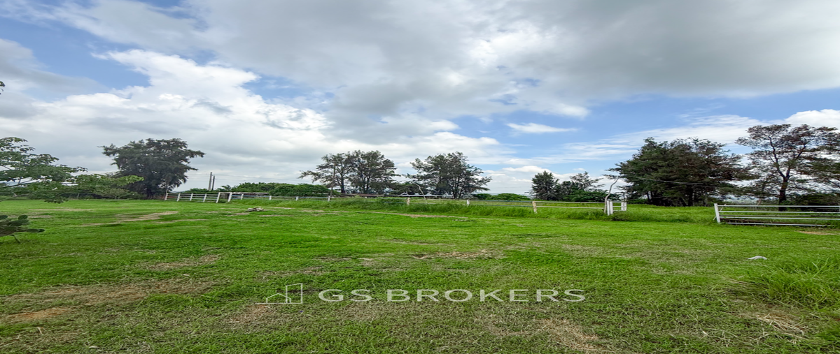Foto de terreno habitacional en venta en la capilla , buenavista, ixtlahuacán de los membrillos, jalisco, 0 No. 03