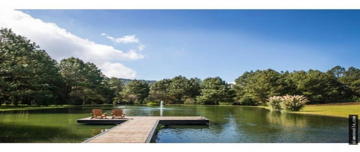 Foto de rancho en venta en  , la capilla, valle de bravo, méxico, 26514375 No. 03