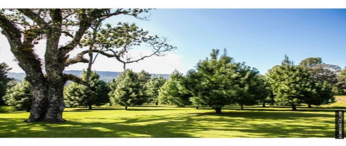 Foto de rancho en venta en  , la capilla, valle de bravo, méxico, 26514375 No. 04