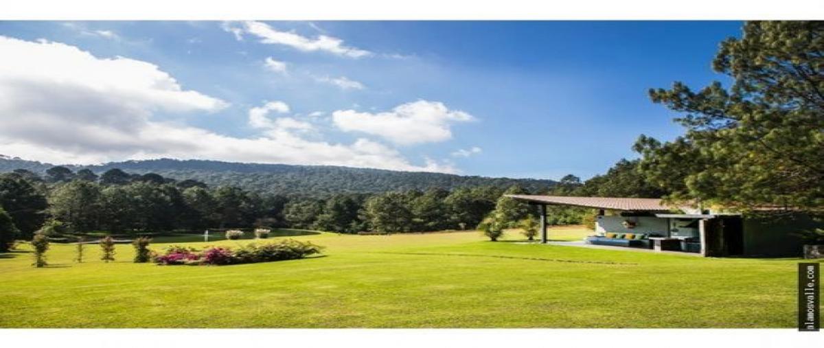 Foto de rancho en venta en  , la capilla, valle de bravo, méxico, 26514375 No. 05