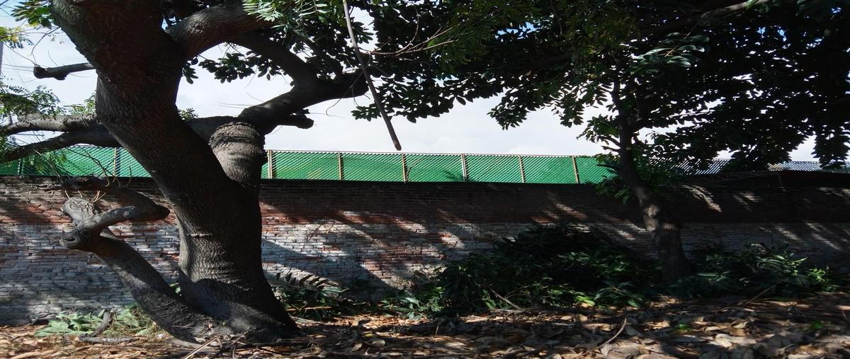 Foto de terreno habitacional en venta en  , la carolina, cuernavaca, morelos, 0 No. 03