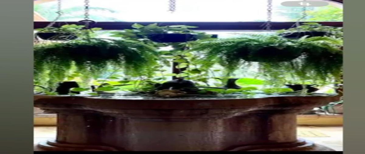 Foto de casa en venta en  , la cascada, benito juárez, quintana roo, 0 No. 05