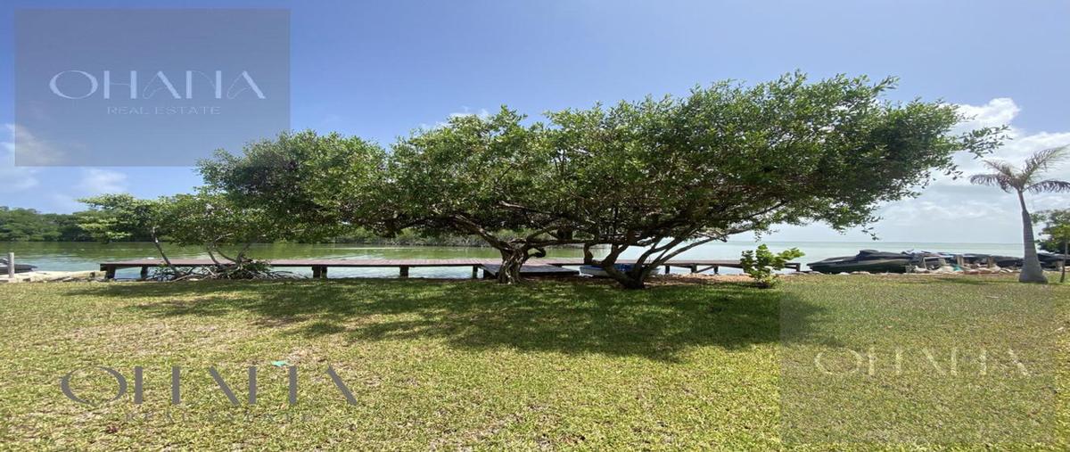 Foto de departamento en renta en  , la cascada, benito juárez, quintana roo, 31472205 No. 03
