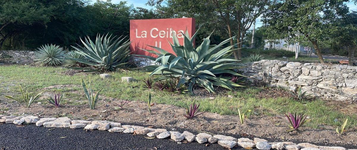Foto de terreno habitacional en , la ceiba, mérida, yucatán, 27971542 foto 01 Foto de terreno habitacional en venta en , la ceiba, mérida, yucatán, 27971542 No. 01