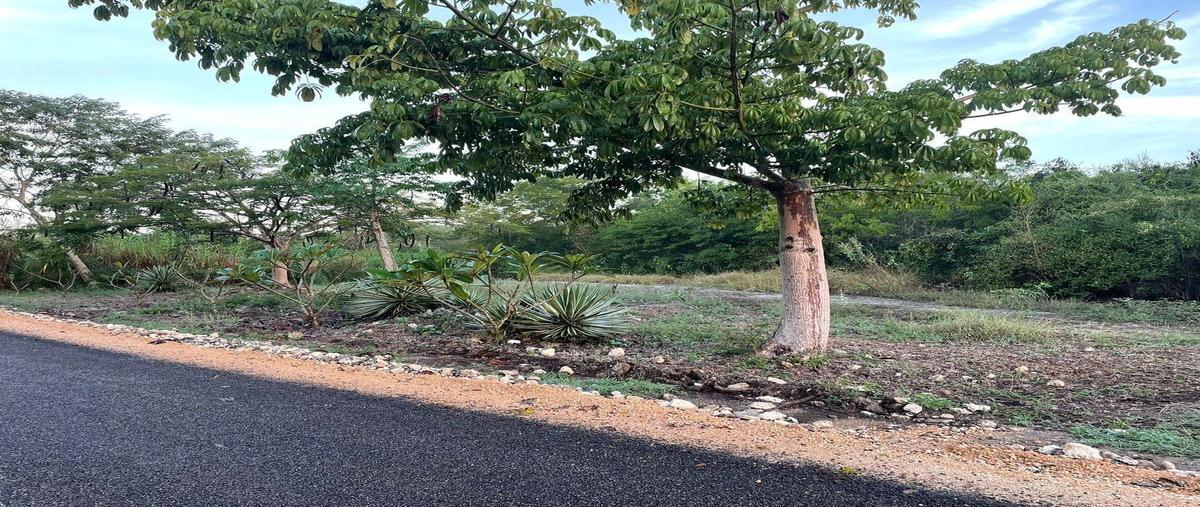 Foto de terreno habitacional en , la ceiba, mérida, yucatán, 27971542 foto 03 Foto de terreno habitacional en venta en , la ceiba, mérida, yucatán, 27971542 No. 03