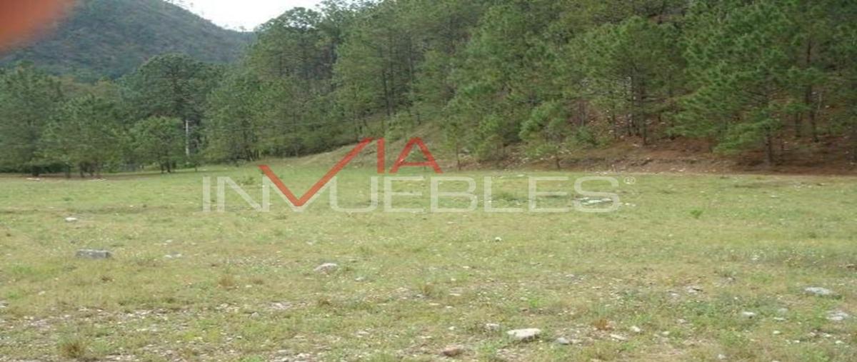 Foto de terreno industrial en , la ciénega de gonzález, santiago, nuevo león, 26962459 foto 01 Foto de terreno industrial en venta en , la ciénega de gonzález, santiago, nuevo león, 26962459 No. 01