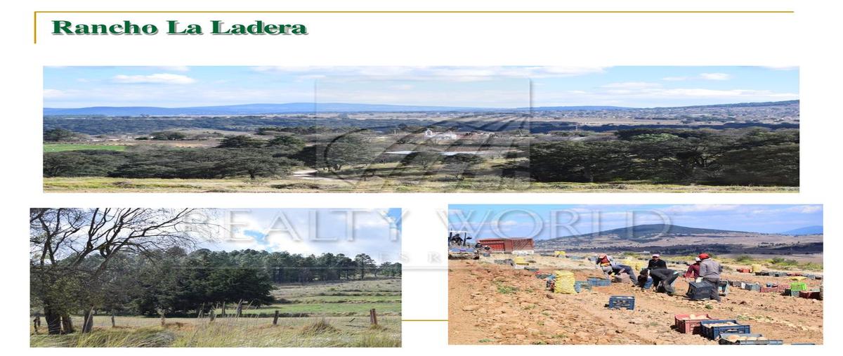 Foto de rancho en , la ciénega, san felipe del progreso, méxico, 0 foto 02 Foto de rancho en venta en , la ciénega, san felipe del progreso, méxico, 0 No. 02