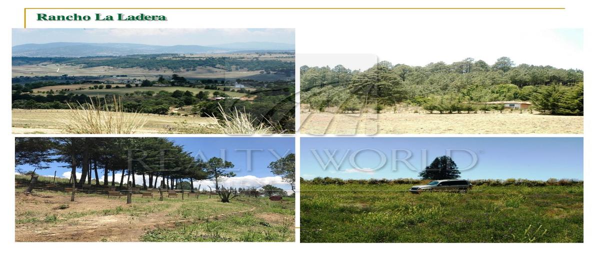 Foto de rancho en , la ciénega, san felipe del progreso, méxico, 0 foto 03 Foto de rancho en venta en , la ciénega, san felipe del progreso, méxico, 0 No. 03
