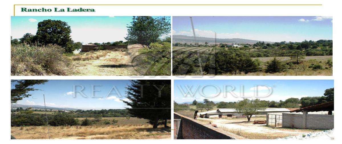 Foto de rancho en , la ciénega, san felipe del progreso, méxico, 0 foto 04 Foto de rancho en venta en , la ciénega, san felipe del progreso, méxico, 0 No. 04