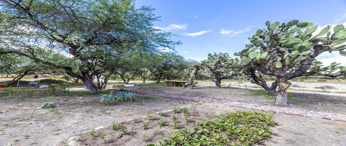 Foto de terreno habitacional en venta en  , la cieneguita, san miguel de allende, guanajuato, 28108953 No. 05