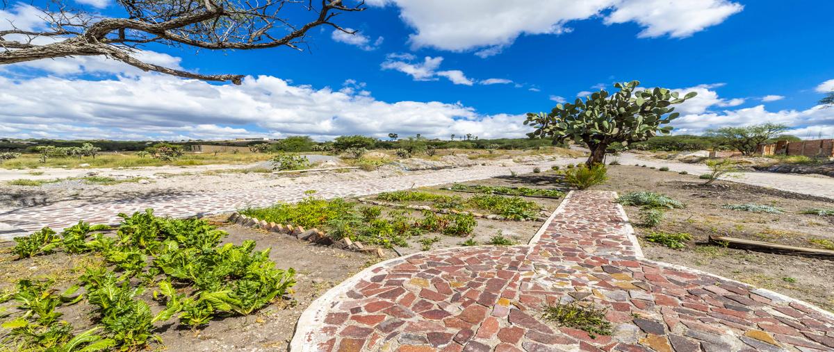 Foto de terreno habitacional en venta en  , la cieneguita, san miguel de allende, guanajuato, 28108953 No. 06