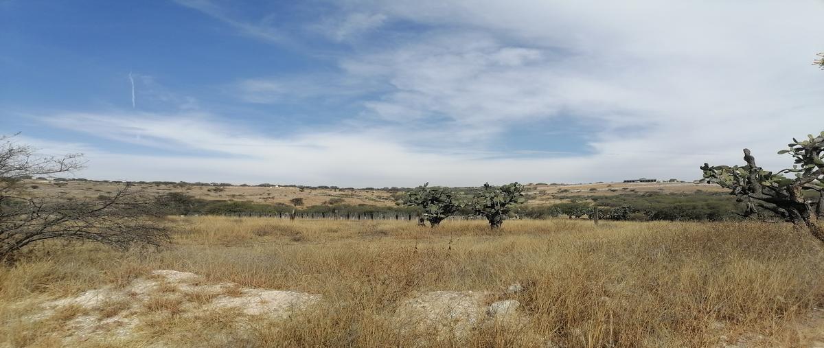 Foto de terreno habitacional en la cieneguita, san miguel de allende, guanajuato , la cieneguita, san miguel de allende, guanajuato, 23723632 foto 01 Foto de terreno habitacional en venta en la cieneguita, san miguel de allende, guanajuato , la cieneguita, san miguel de allende, guanajuato, 23723632 No. 01