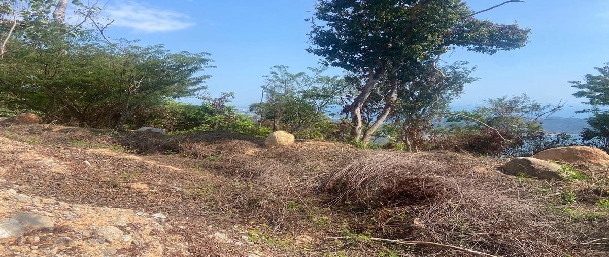 Foto de terreno habitacional en venta en  , la cima, acapulco de juárez, guerrero, 0 No. 04