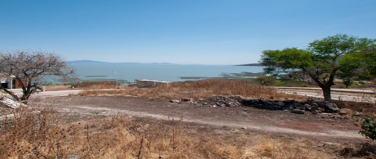 Foto de terreno habitacional en venta en  , la cofradia, tuxcueca, jalisco, 0 No. 03