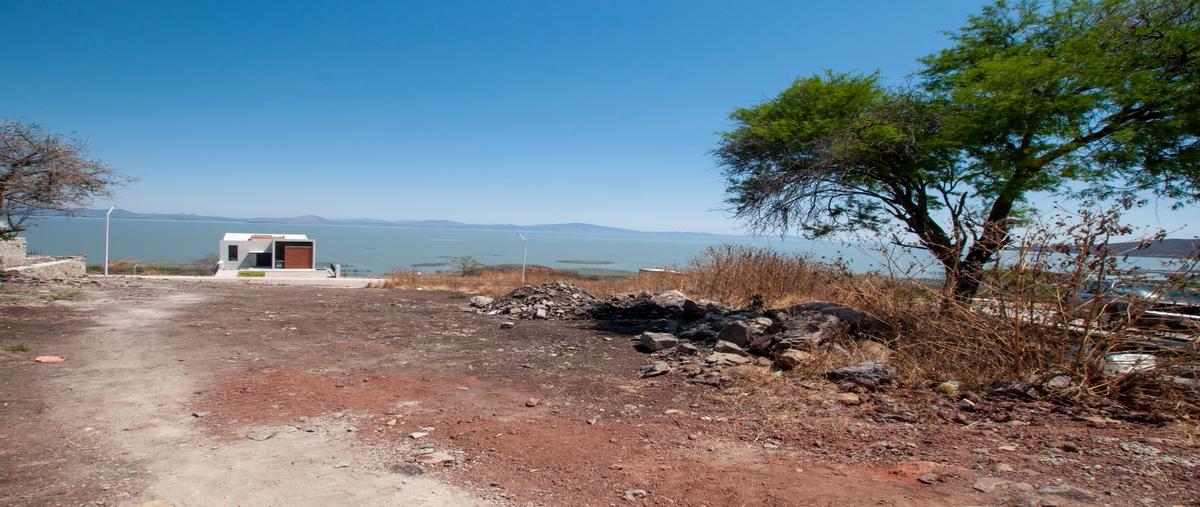 Foto de terreno habitacional en venta en  , la cofradia, tuxcueca, jalisco, 0 No. 05