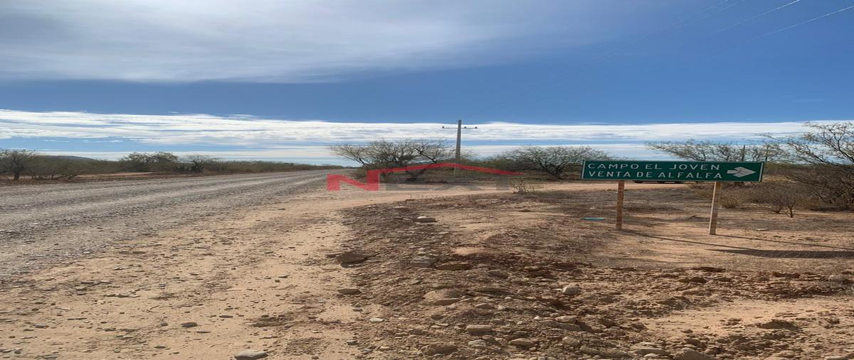 Foto de rancho en venta en la colorada 0, la colorada, la colorada, sonora, 0 No. 03