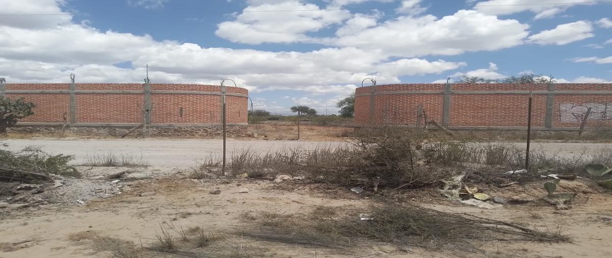 Foto de terreno habitacional en venta en  , la colorada, mexquitic de carmona, san luis potosí, 26880647 No. 03